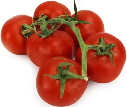 Pomidory na gałązce ekologiczne (karton ok. 5 kg) (EKO)